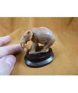 (tb-ele-12) PACHYDERM walking Tagua NUT palm figurine Bali safari zoo - $35.54