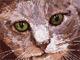 Pepita Needlepoint kit: Cat Closeup 2, 12&quot; x 9&quot; - £67.39 GBP+