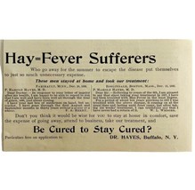 Dr Hayes Hay Fever Medicine 1894 Advertisement Victorian Buffalo NY 3 ADBN1ff - $19.99