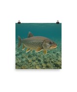 Lake Trout Poster Wall Art | Fishing Decor for Cabin, Lodge, Man Cave, 1... - $357.59 MXN