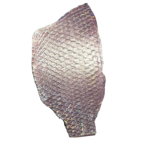 Aurora Glitter Powder Tilapia Fish Skin Hide Leather Craft Supply Light ... - $6.44