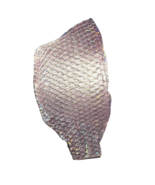 A lot of TWO Aurora Glitter Tilapia Fish Skins Hide Leathers Craft Suppl... - $9.00