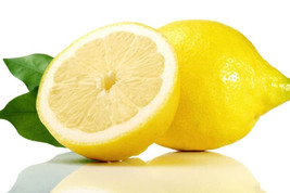 5 Gossamer Lemon Glow Seeds Planting USA Gardening - $7.96