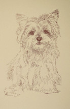 Yorkshire Terrier Dog Art Kline Signed Lithograph #36 Drawn from just words - $49.95