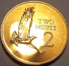 Zambia 2 Ngwee, 1978 Rare Proof~Martial Eagle~Only 24,000 Ever Made~Free Ship - £11.46 GBP