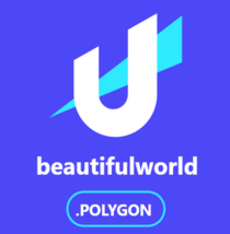 BeautifulWorld.Polygon: Your Gateway to the Decentralized Web on the Pol... - £23,979.88 GBP