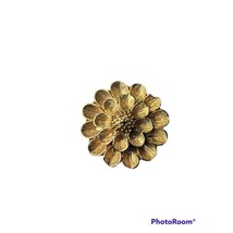Vintage Womens Gold Tone DPA Brooch Pin Flower M Shaped Clamp Latch Text... - $214.09 MXN