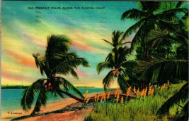 Coconut Palms Along Florida Coast FL Linen Postcard E7 - £2.36 GBP