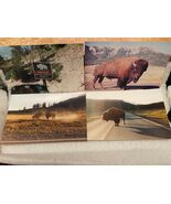 4 Yellowstone Bison Personal Photos From 2001 * Pre-Owned* BT1 - $13.95 CAD