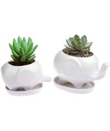 Modern White Ceramic Succulent Planter Pots / Tiny Flower Plant Containers - $668.85 MXN