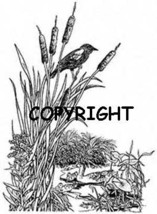 Pond Life New Release! Mounted Rubber Stamp - $7.23