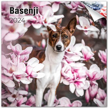 BASENJI Wall Calendar 2024 DOG Animal PET Lover Gift - £19.77 GBP