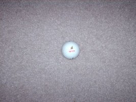 Vintage Golf Ball Pinnacle Gold TROON Logo - $4.99