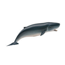 CollectA Pygmy Sperm Whale Figure (Medium) - $19.57
