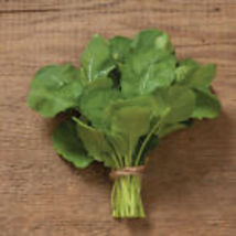 1,000 Ethiopian Kale Seeds Brassica Carinata Heirloom  Non-GMO  - £8.84 GBP