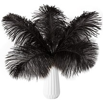 Black Ostrich Feathers 24Pcs Natural Bulk 8-10Inch 20Cm-25Cm For Crafts ... - £15.97 GBP