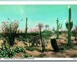 Primavera Deserto Cactus Az Arizona Unp Non Usato Wb Cartolina H12 - £4.06 GBP