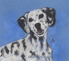 Dalmatian Dog Art Pastel Drawing Spots Solomon - £70.29 GBP