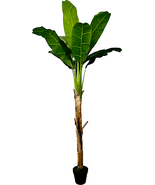 6&#39; Real Touch Artificial Banana Plant - $136.95