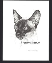 # 414 SIAMESE CAT front view  * cat art print * pen &amp; ink drawing by Jan... - $12.50