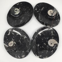 4pcs,6.25&quot;x4.75&quot;x5mm Oval Fossils Orthoceras Ammonite Bowls Dishes,Black, MF1369 - £28.86 GBP