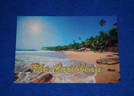 **BRAND NEW** CARIBBEAN BEACH SHORELINE POSTCARD PALM TREES GULF OF MEXI... - £3.15 GBP