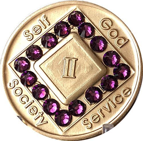 2 Year NA Medallion Bronze Purple Swarovski Crystal Chip II