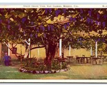 Giant Grape Vine San Gabriel Archangel Mission CA California DB Postcard... - $1.93