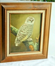 Vintage Signed Oil on Canvas Painting  8&quot; x 10&quot;  Framed Owl - £61.23 GBP