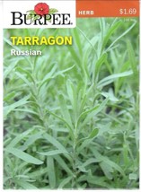 GUNEL Tarragon Russian Herb Seeds Burpee  - £6.26 GBP