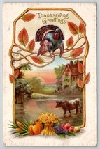 Thanksgiving Greetings Turkey And Country Scene Cow In Water Postcard K29 - £4.75 GBP