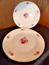 Baum Bros Formalities Victorian Rose 6.5” Salad/Dessert Plates Set/2 - £8.51 GBP