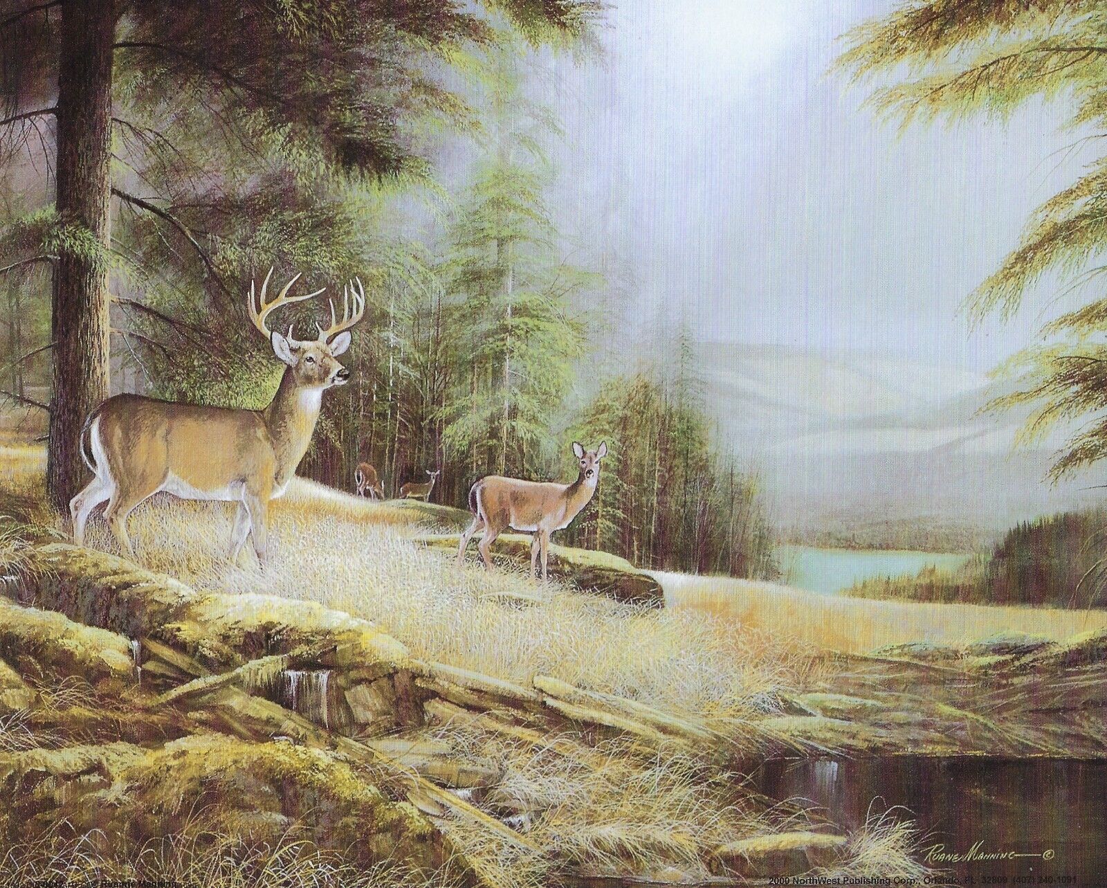 8 x 10 Unframed Print by artist Ruane Manning Mountain Top Retreat Deer ... - $5.98