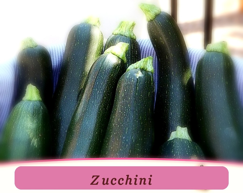 45+ Zucchini Seeds Top Quality Black Beauty Heirloom Non-Gmo Vegetable - $8.00