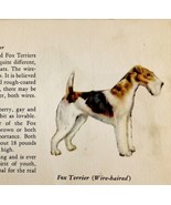 Fox Terrier Wire Haired 1939 Dog Breed Art Ole Larsen Color Plate Print ... - $29.99