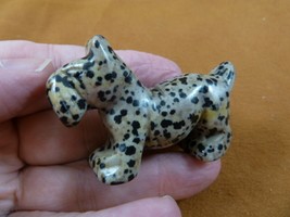 (Y-DOG-SCS-726) spotted SCOTTISH Terrier Scottie dog FIGURINE carving SC... - $17.53