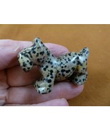 (Y-DOG-SCS-726) spotted SCOTTISH Terrier Scottie dog FIGURINE carving SC... - £13.70 GBP