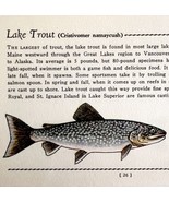Lake Trout 1939 Fresh Water Fish Art Gordon Ertz Color Plate Print PCBG20 - $41.01 CAD