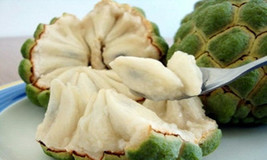 Thai fresh Custard Apple Seeds, ANNONA RETICULATA, Sweet healthy fruit, ... - £3.16 GBP