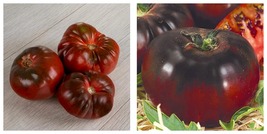 50 Seeds Tomato Black Prince Garden - £25.05 GBP