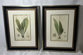 Pair of John Richard Framed Antrophyum Plant GRF-4193B/4193A - £393.17 GBP