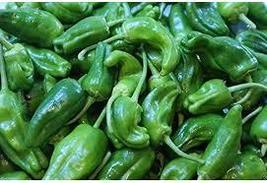 Famous Spanish Heirloom Padron Pepper, 10 seeds - £8.12 GBP