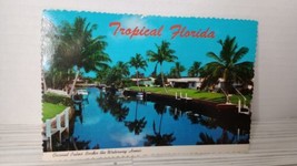 Tropical Florida Post Card - $3.73