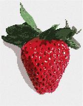 Pepita Needlepoint Canvas: Strawberry 2, 9&quot; x 11&quot; - £40.59 GBP+