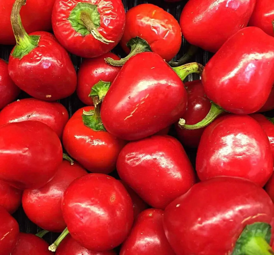 PIMENTO PEPPER 50+SEEDS  &quot;SWEET&quot; vegetable GARDEN pickling PEPPER  - $10.00