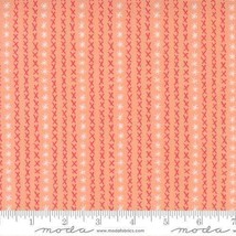Moda DANDI DUO Peach  48755 14 Quilt Fabric By The Yard - Robin Pickens - £9.18 GBP
