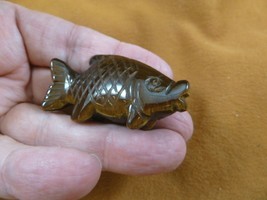 Y-FIS-TR-558) Brown tiger eye tropical FISH gemstone carving gem fishes aquarium - £11.26 GBP