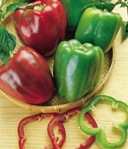 Pepper Sweet California Wonder 300 Heirloom Vegetable 75 Seeds Fresh Gar... - $10.90