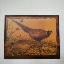 Vintage Wm Zimmerman Pheasant Game Bird Art Print On Wood Plaque Wall Hanging - $24.75