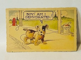 Postcard vtg Antique Ephemera Post Card Boy Dehydrated Puppy Dog anthropomorphic - £13.29 GBP